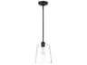 Savoy House Meridian 1-Light Oil Rubbed Bronze Glass Empire Mini Pendant