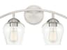 Savoy House Meridian 2-Light Brushed Nickel Glass Vanity Light