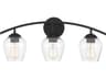Savoy House Meridian 3-Light Matte Black Glass Vanity Light