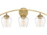 Savoy House Meridian 3-Light Natural Brass Glass Vanity Light