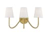 Savoy House Meridian 3-Light Natural Brass Vanity Light