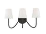 Savoy House Meridian 3-Light Oil Rubbed Bronze Vanity Light