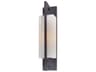 Troy Lighting Blade Outdoor Wall Light