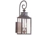 Troy Lighting Newton 2-Light Outdoor Wall Light