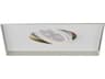 WAC Lighting 1-Light White LED Geometric Linear Recessed Light