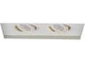 WAC Lighting 2-Light White LED Geometric Linear Recessed Light