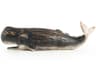 Zentique Distressed Black 5" Sperm Whale Sculpture