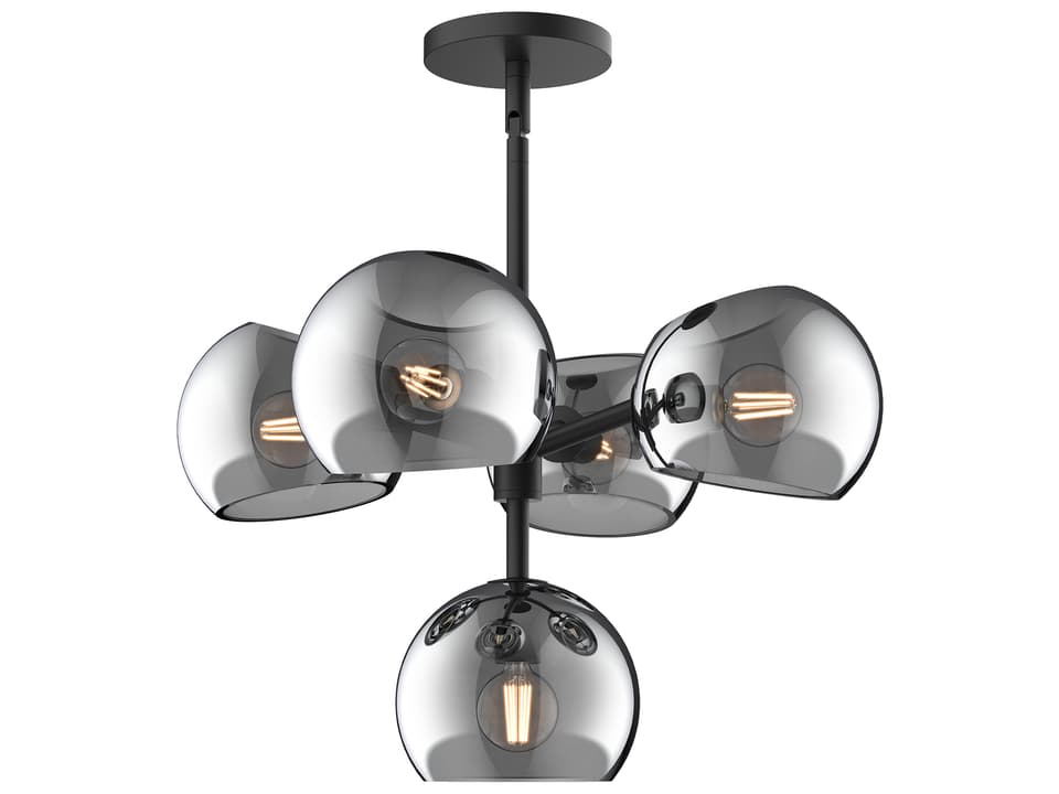 5-Light Willow Chandelier with Smoked Glass in Matte Black