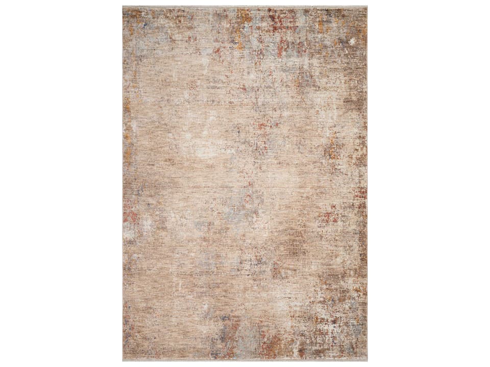 Albany Collection Power-Loomed Area Rug with Vintage Look in Beige