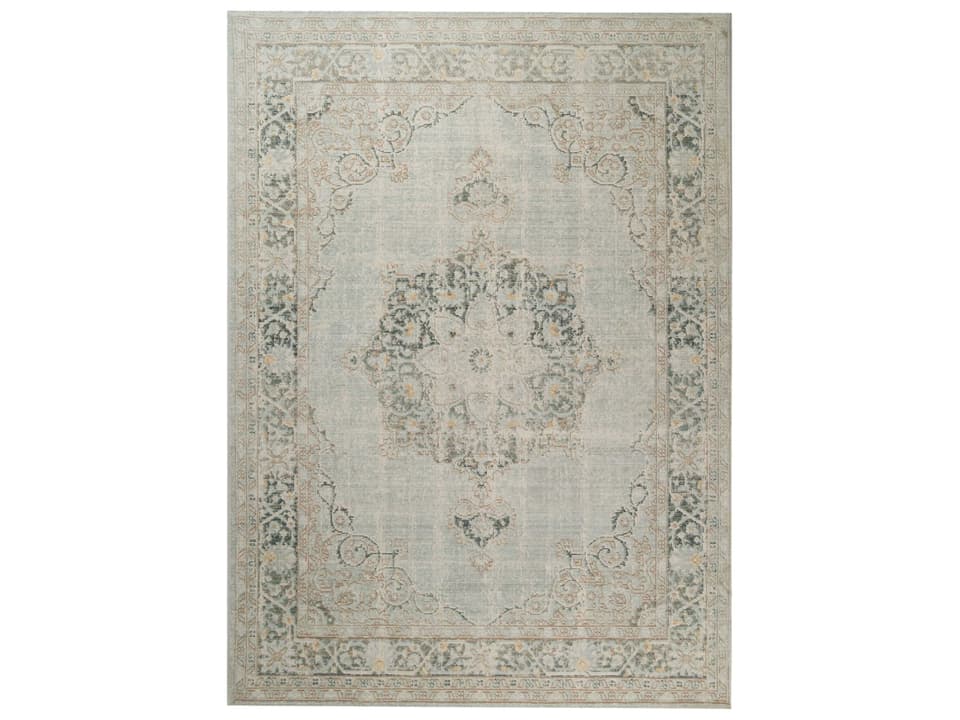 Century Collection Transitional Power-Loomed Area Rug in Mist