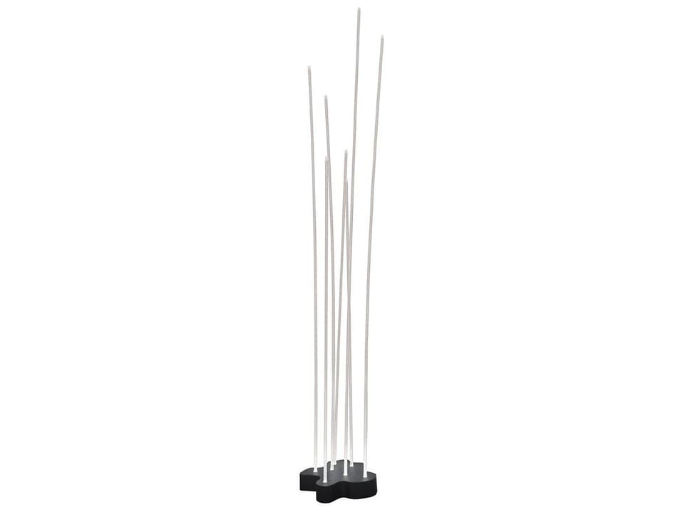 Reeds 7-Light Outdoor LED Floor Lamp in Anthracite Grey