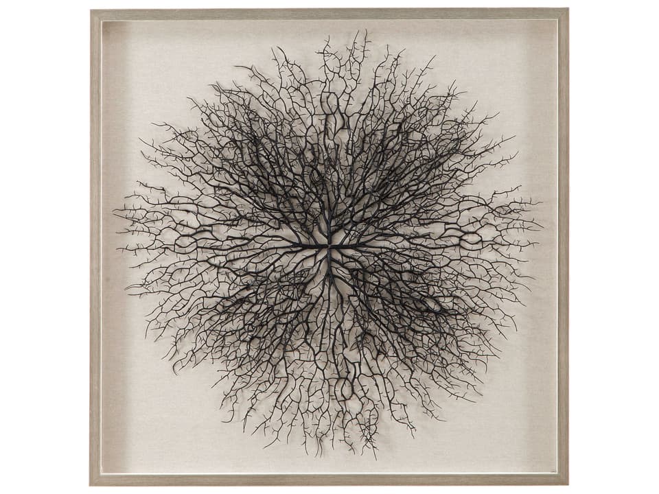 Gracee Wall Art Natural Sea Fan Shadow Box Silver Frame