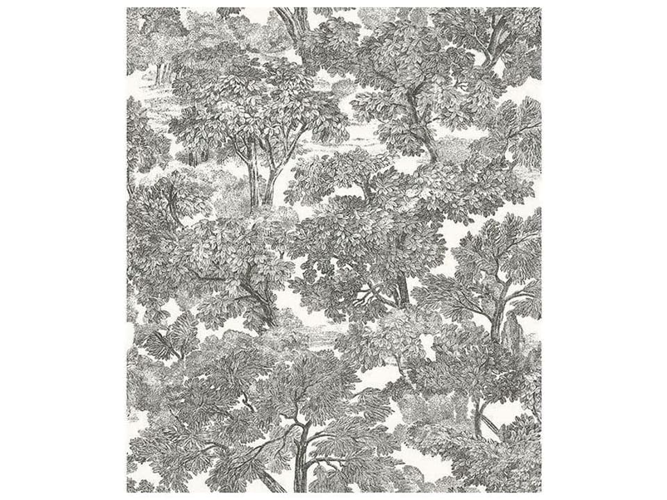 Chesapeake Spinney Black Toile Wallpaper