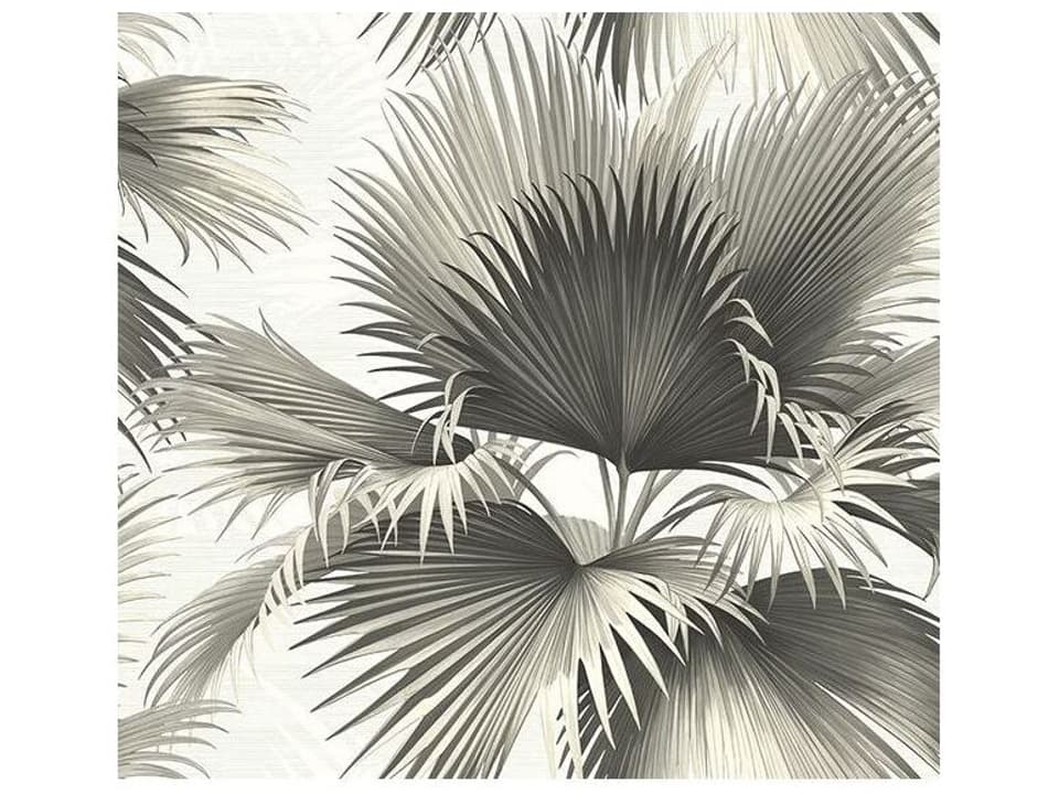 Kenneth James Endless Summer Black Palm Wallpaper