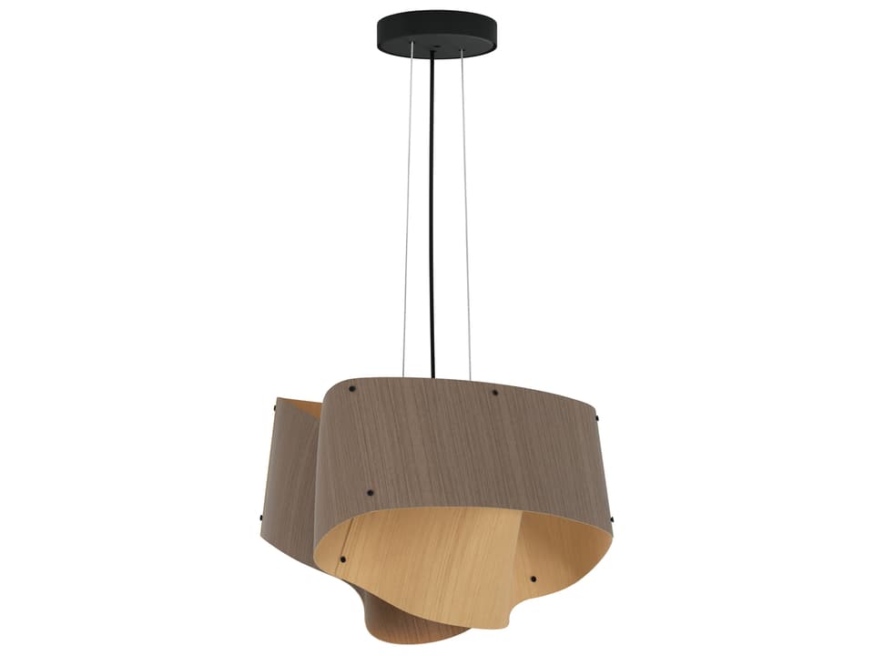Carlotta Contemporary Pendant Light in Black with Ash Wood Veneer