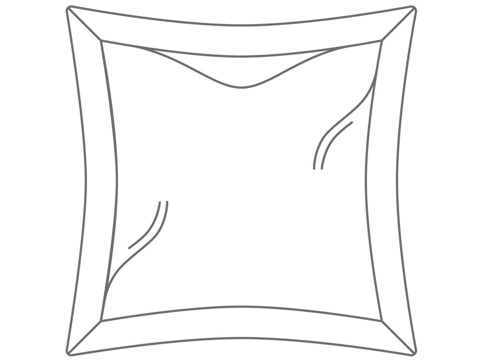 Lily Hive 20 x 20 Flanged Down Feather Throw Pillow
