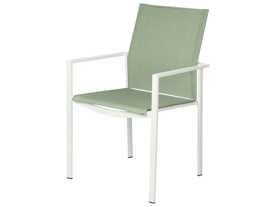 Mercury Dining Arm Chair with Stainless Steel Frame and Seagull Sling