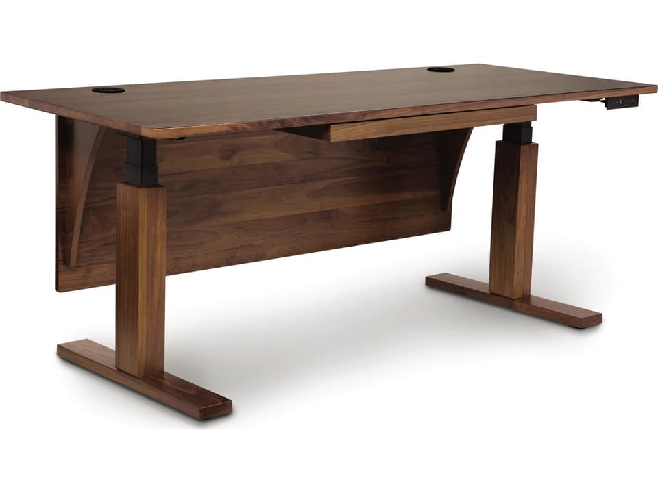 Invigo 48x26-Inch Rectangular Sit-Stand Desk Dual Motor Solid Hardwood