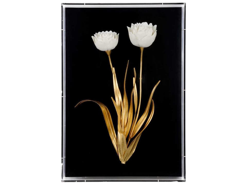 Porcelain Flower Black C Wall Art by Bill Cain