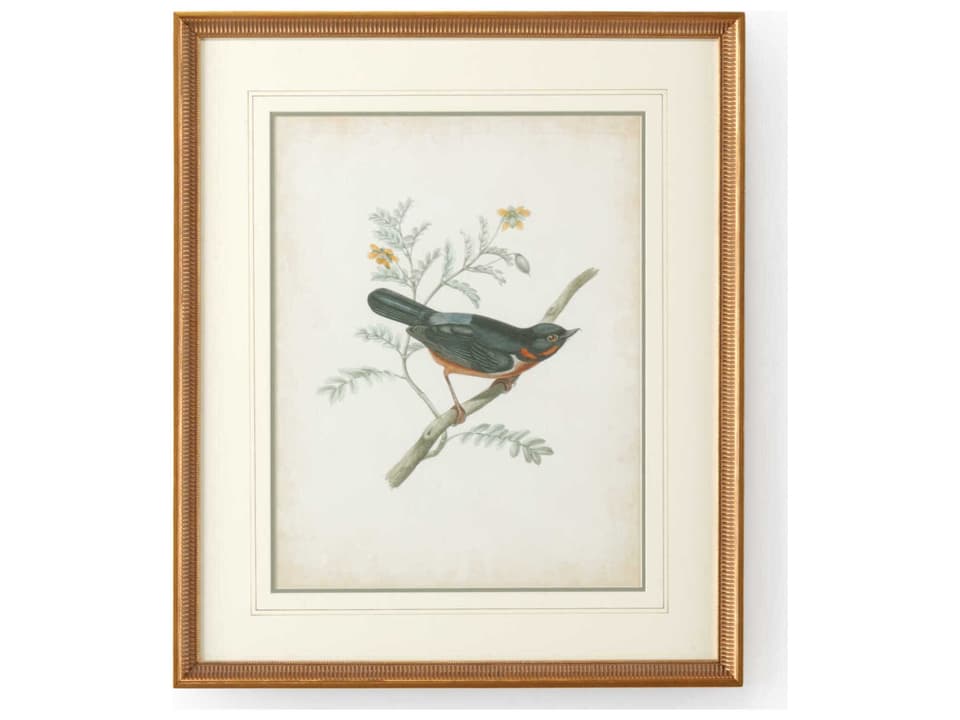 Delicate Birds III Framed Giclee Print Gold Frame Double Mat