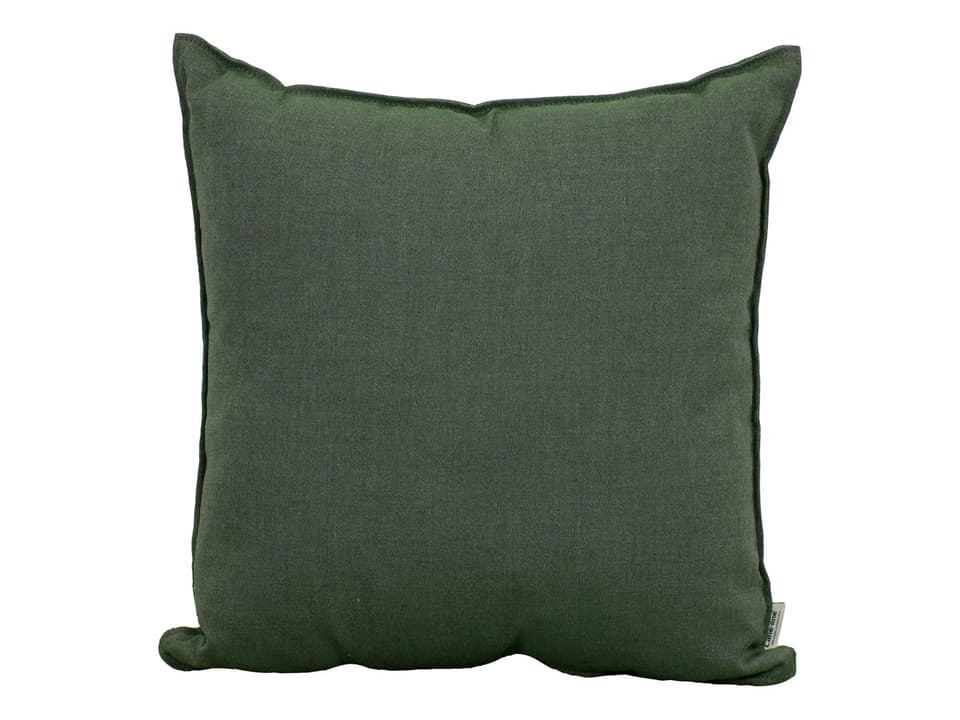 Delight Light Green Delight Scatter Cushion