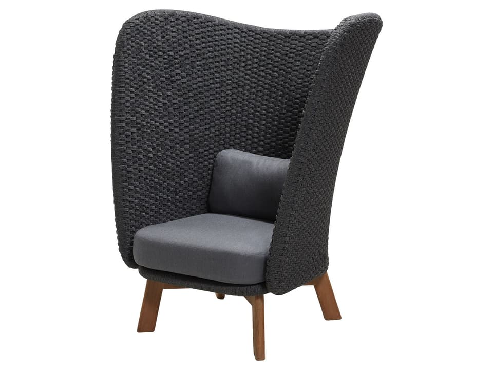 Peacock Wing Highback Lounge Chair with Dark Grey Rope and Teak
