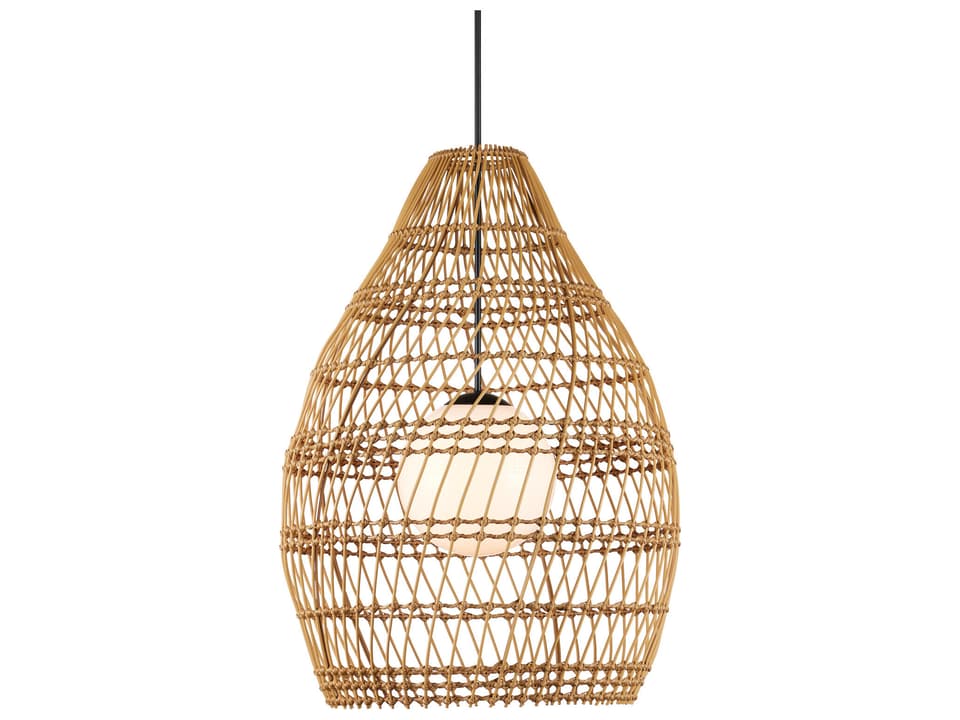 Currey and Company Fishtrap 1-Light Outdoor Pendant Light in Natural Black and Frosted White