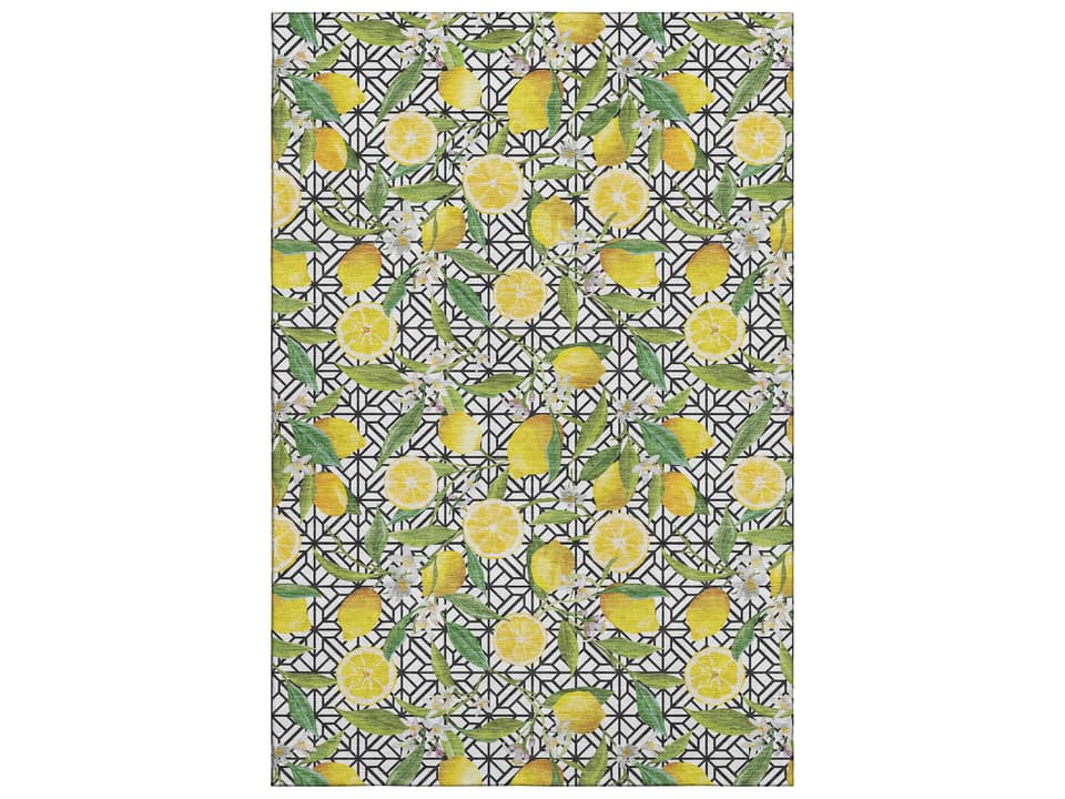 Mayfield Graphic Indoor Outdoor Machine Washable Area Rug