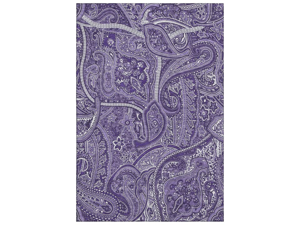 Mayfield Paisley Machine Made Transitional Area Rug