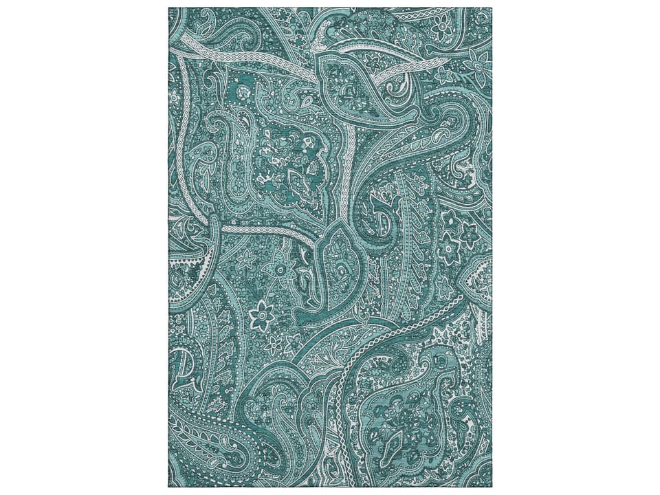 Mayfield Paisley Area Rug Transitional Machine Made