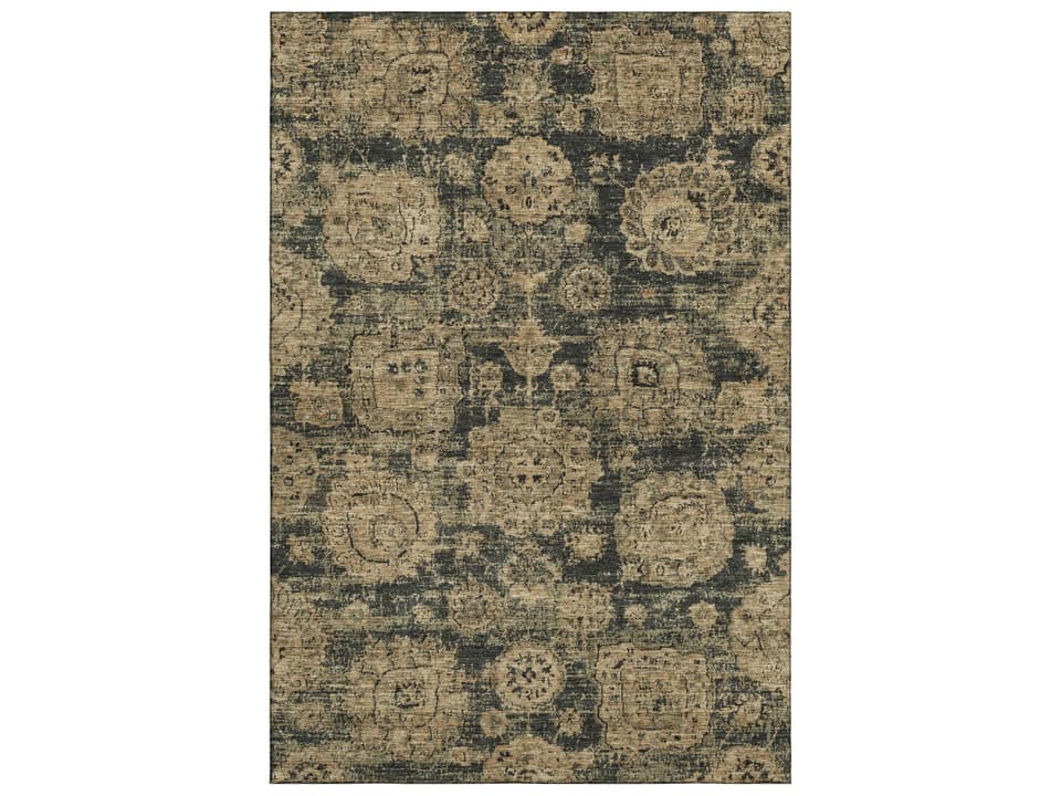 Mayfield Floral Transitional Area Rug