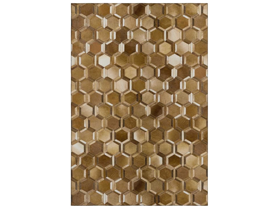 Mayfield Geometric Area Rug in Brown
