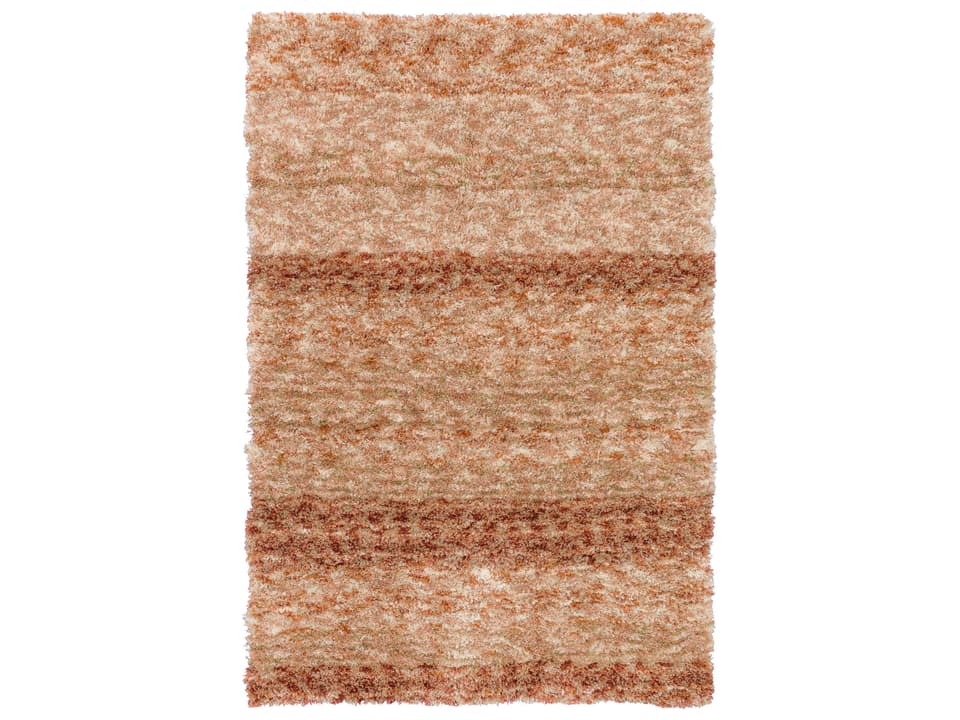 Sanibel Shag Striped Area Rug in Rust