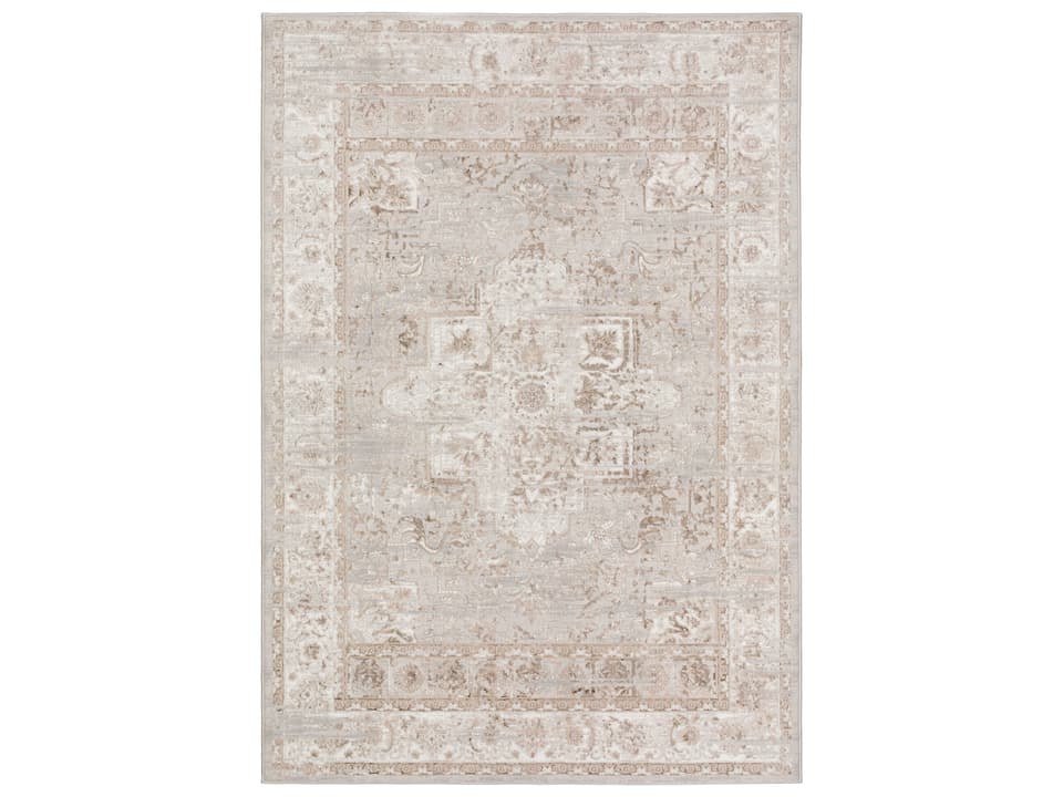 Rhodes Polypropylene Polyester Blend Transitional Area Rug in Taupe