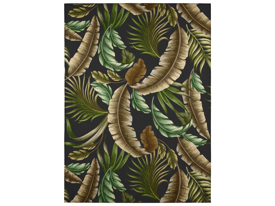 Tropics