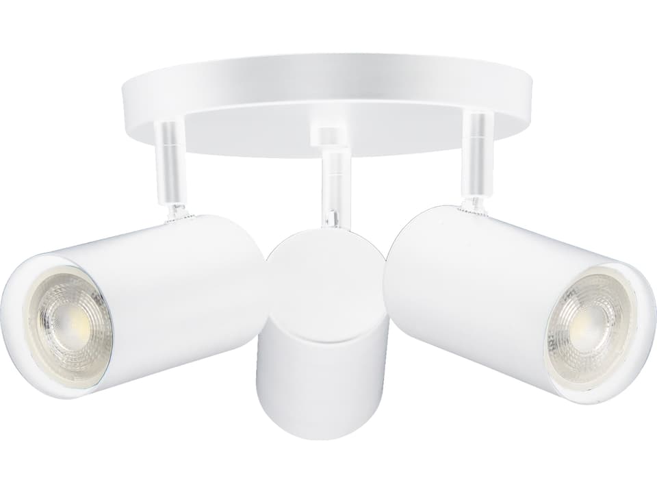 Taylor 3-Light Matte White Cylinder Track & Rail Light