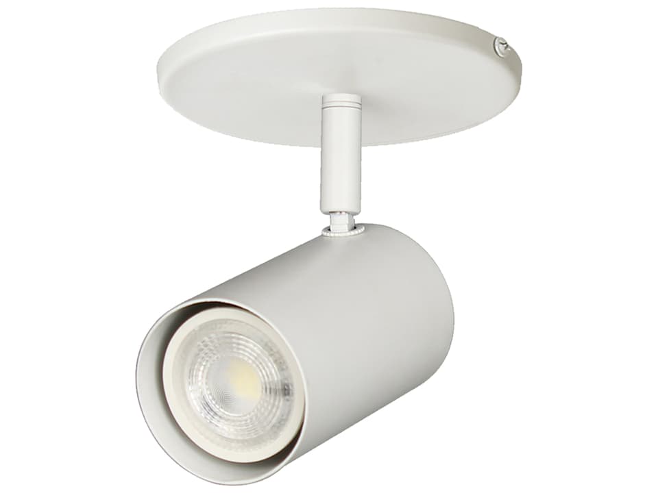 Taylor 1-Light Matte White Cylinder Track & Rail Light