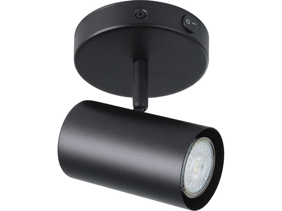 Calloway 1-Light Black Cylinder Track & Rail Light