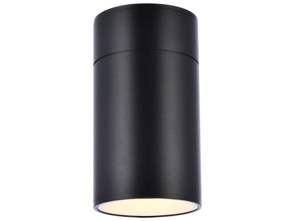 Raine 1-Light Outdoor Wall Sconce in Black