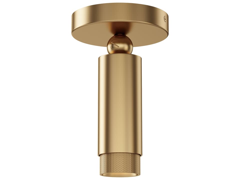 Cleo 1-Light Natural Aged Brass Spot Light