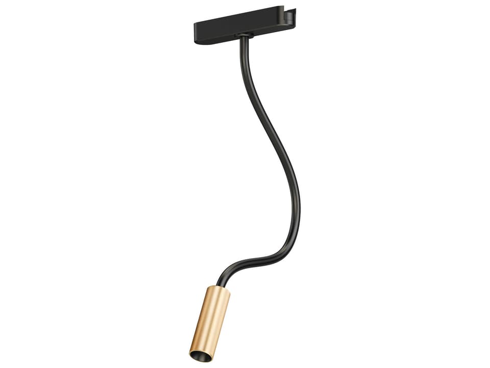 1-Light Black Gold Cylinder Spot Light
