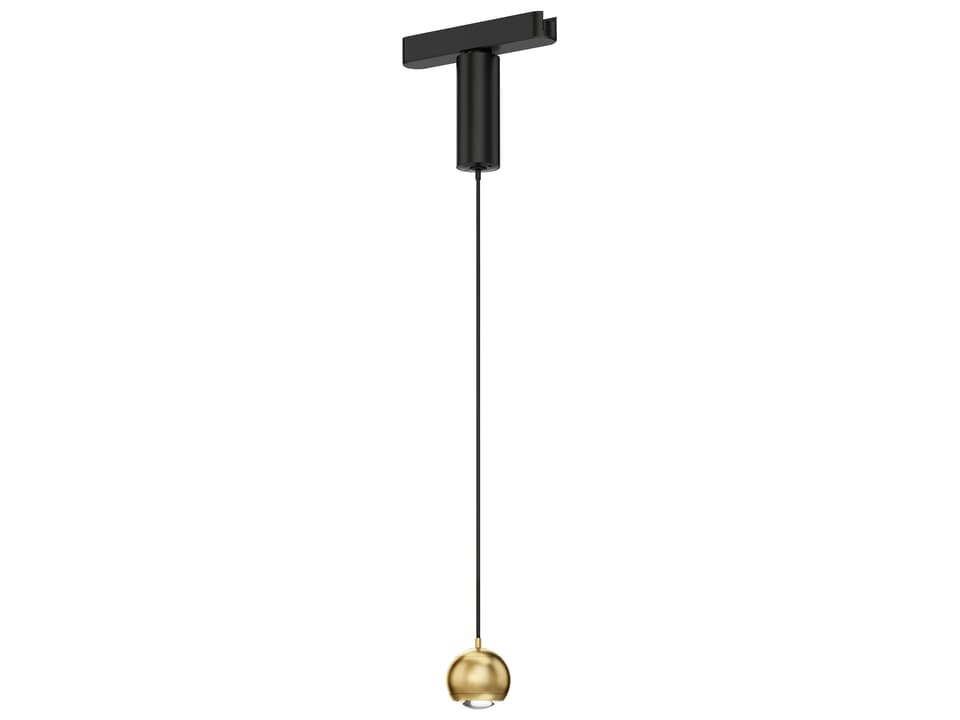 1-Light Natural Aged Brass Globe Track & Rail Light