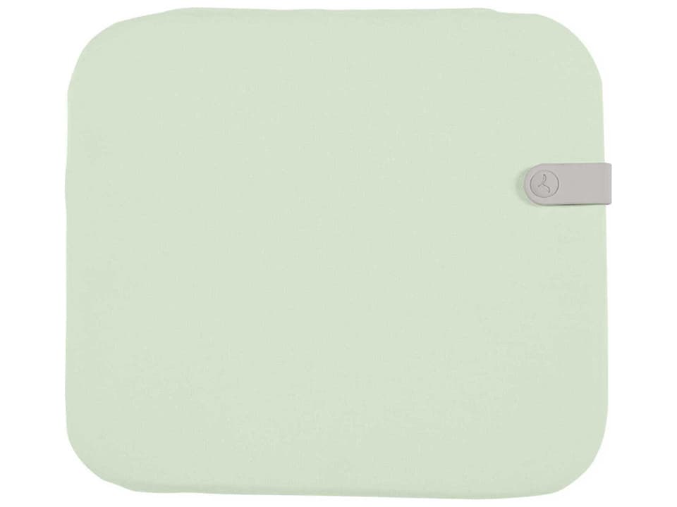 Luxembourg 16-Inch Dralon Chair Cushion in Mint