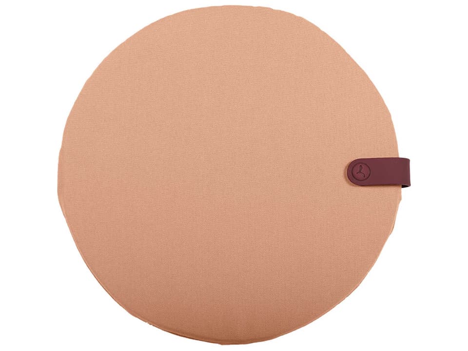 Color Mix 16-Inch Chair Seat Cushion in Apricot