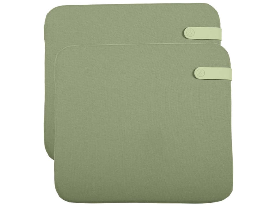 Color Mix Eucalyptus Green Patio Cushion Set of 2