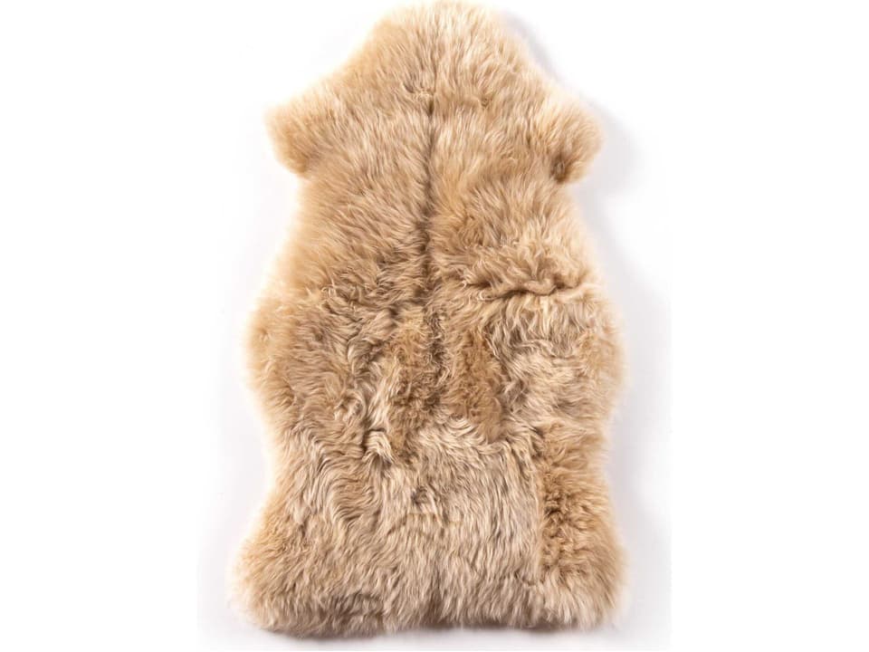 Mateo Area Rug