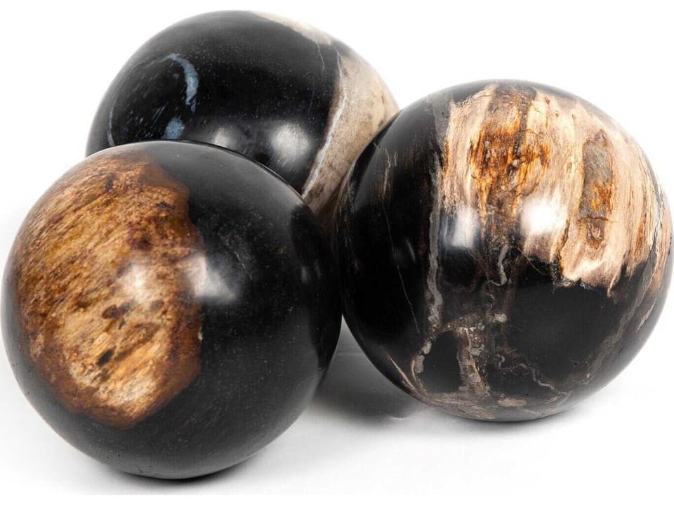 Palu Petrified Wood Decorative Balls Set of 3 Dark Finish