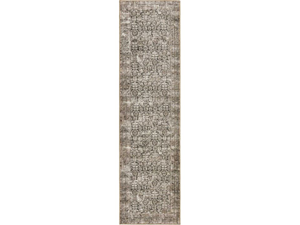 Lucca Bordered Runner Area Rug in Priya