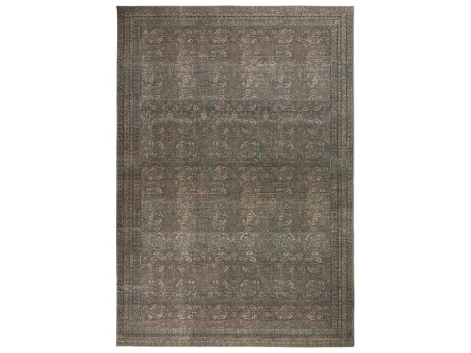 Lucca Namira Power-Loomed Oriental Area Rug in Namira Sage