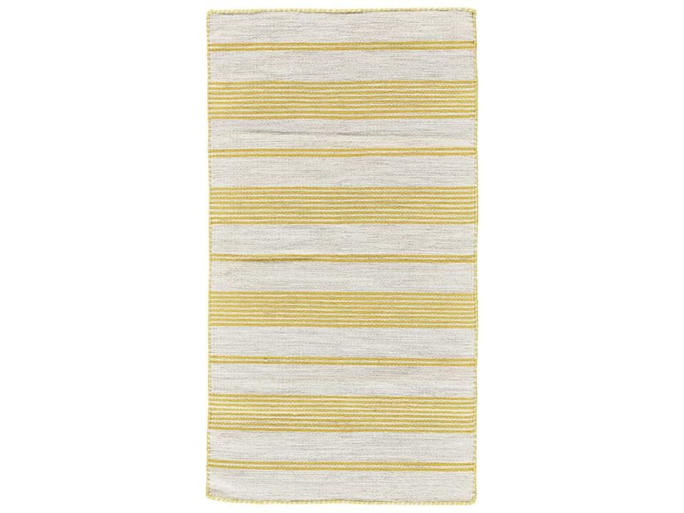 Duprine Striped Indoor Outdoor Area Rug with Gold Accents